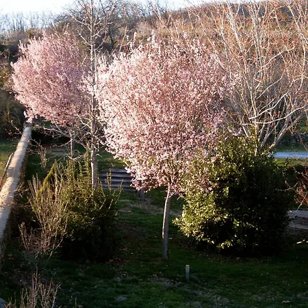 El Turcal Отель 4*