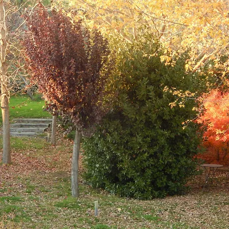 Отель El Turcal Торременга