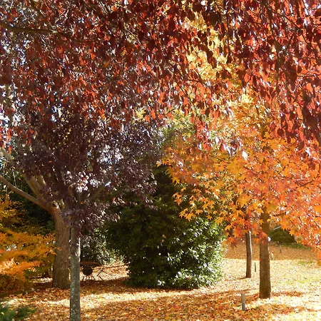 El Turcal Торременга