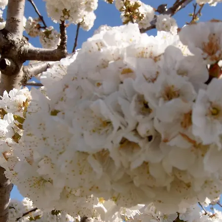 Отель El Turcal 4*