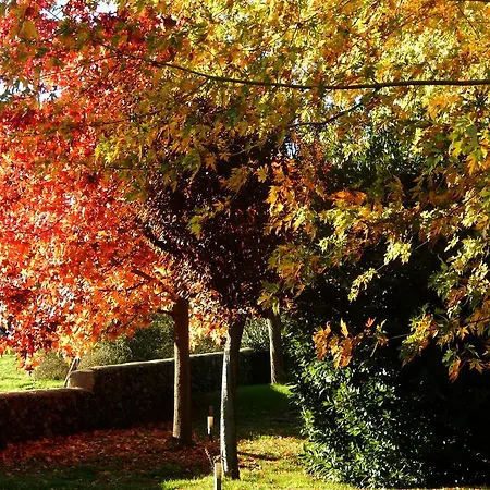 Отель El Turcal