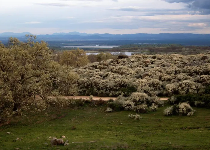 厄尔特尔卡酒店 4* 图瑞蒙戈
