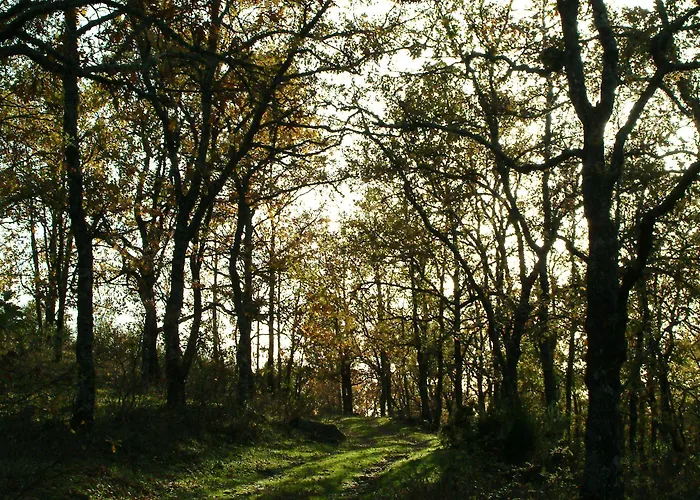 El Turcal Отель 4*