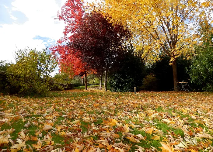 El Turcal 4* Торременга