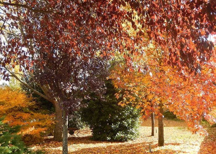 厄尔特尔卡酒店 图瑞蒙戈