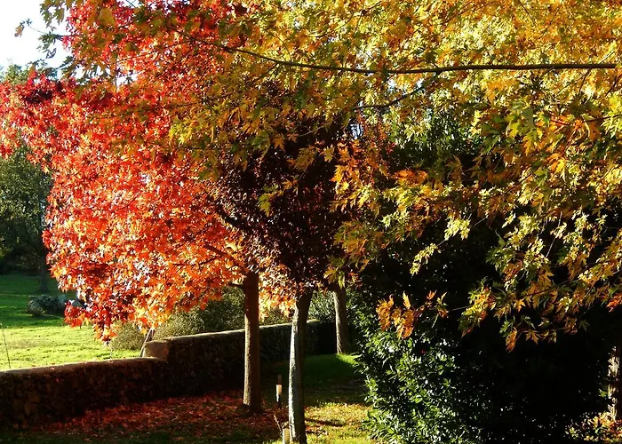 Отель El Turcal