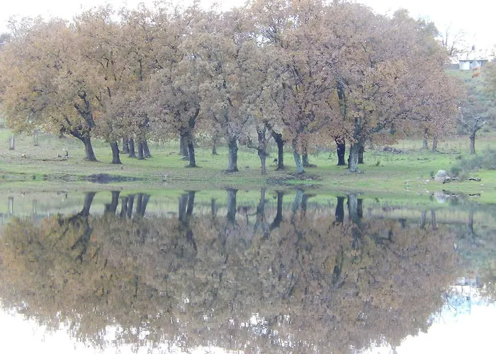 厄尔特尔卡酒店 酒店