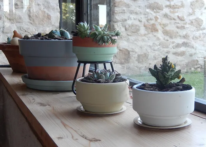 El Turcal Отель