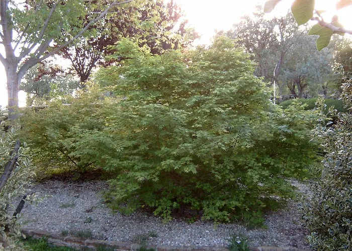 Отель El Turcal